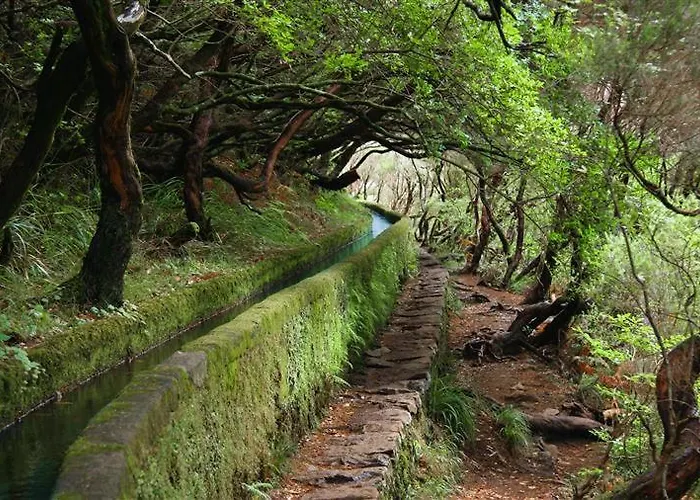 شقة Cantinho Da Te Câmara de Lobos